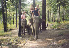 Elephant riding