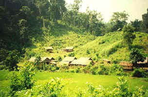 Hilltribe village