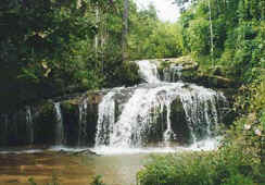 Waterfall in the hills
